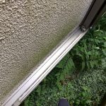 苔