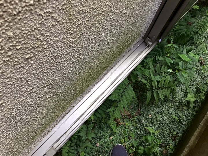 【外壁 苔】リシン吹付仕上げは苔が生えやすい？練馬区大泉学園町での実例から解説