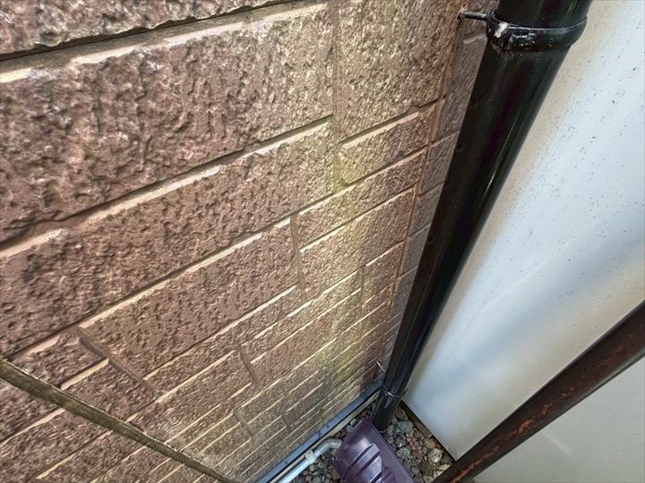 サイディングの色褪せと苔の発生を確認