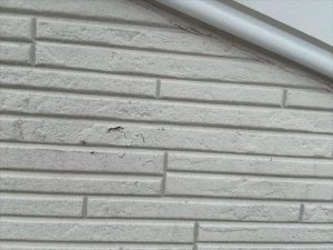 外壁の塗膜の剥がれ
