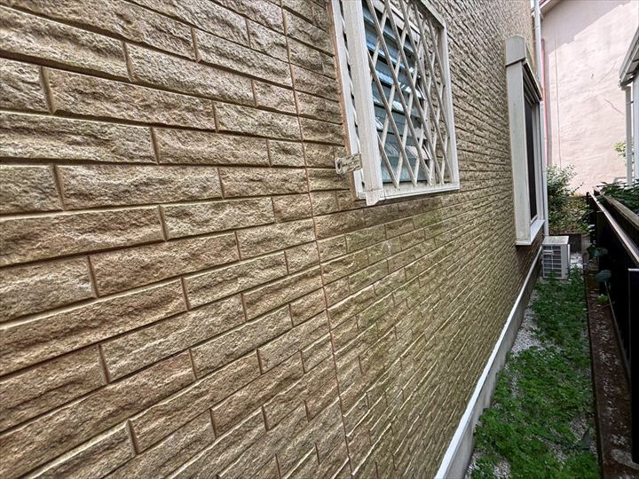 外壁の藻と汚れ