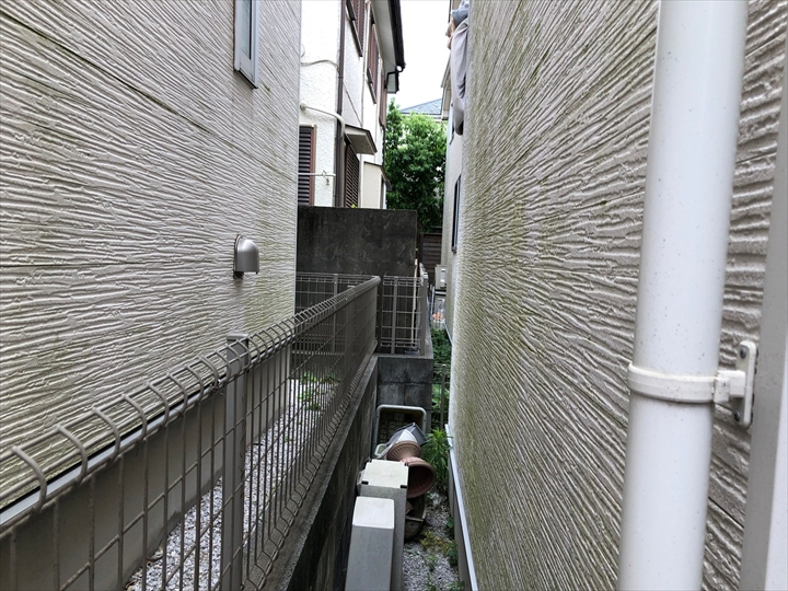外壁の苔