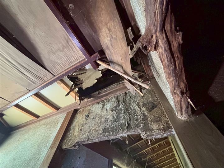 室内の天井にも腐食・崩落の痕跡
