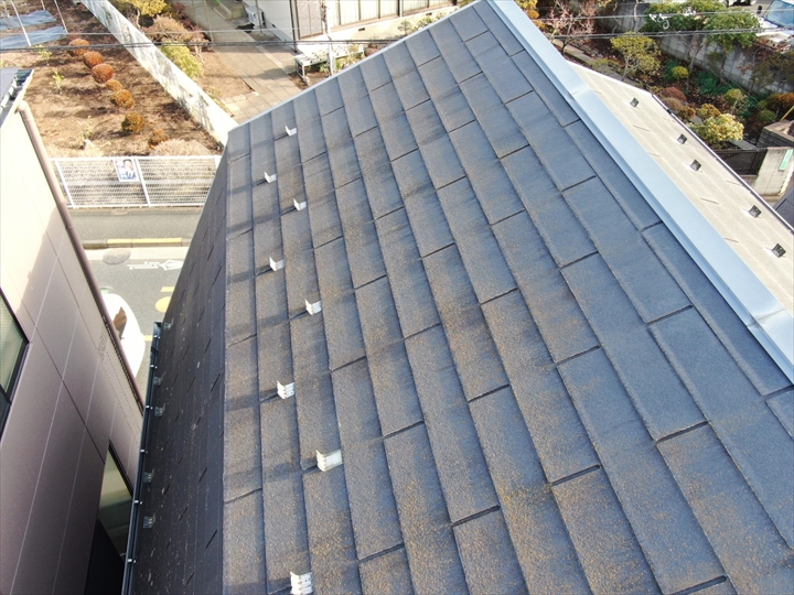 大田区田園調布でノンアスベストスレート屋根を調査、苔の発生と表面劣化を確認した現地点検