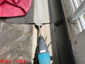 既設シート撤去