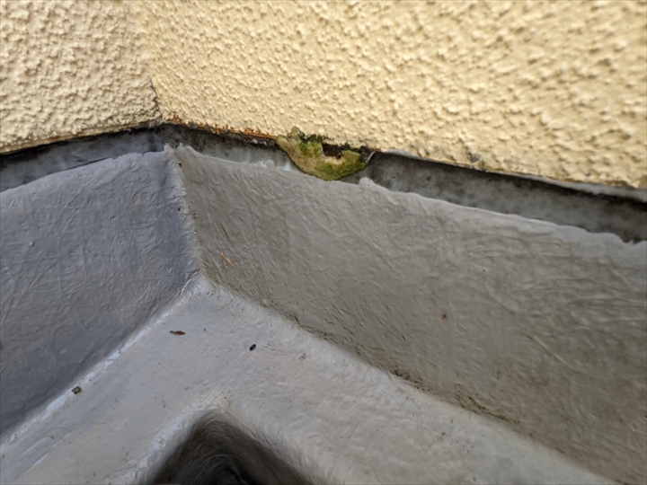 【世田谷区砧】屋上からの雨漏り調査｜FRP防水は早めのメンテナンスが重要です