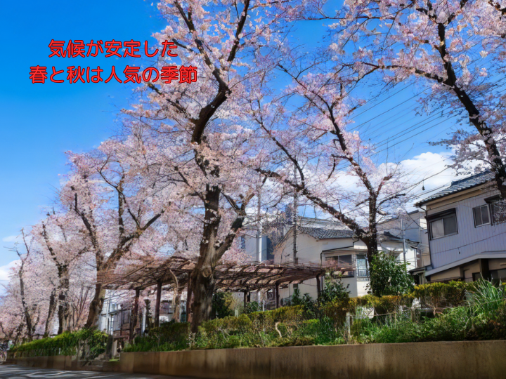 気候が安定した春と秋は人気の季節