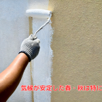 気候が安定した春・秋は特に人気