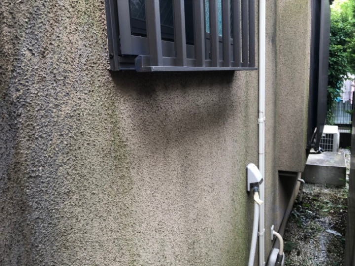 苔が生えている外壁