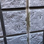 目地の劣化