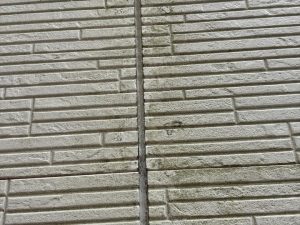 目地の劣化と汚れの蓄積