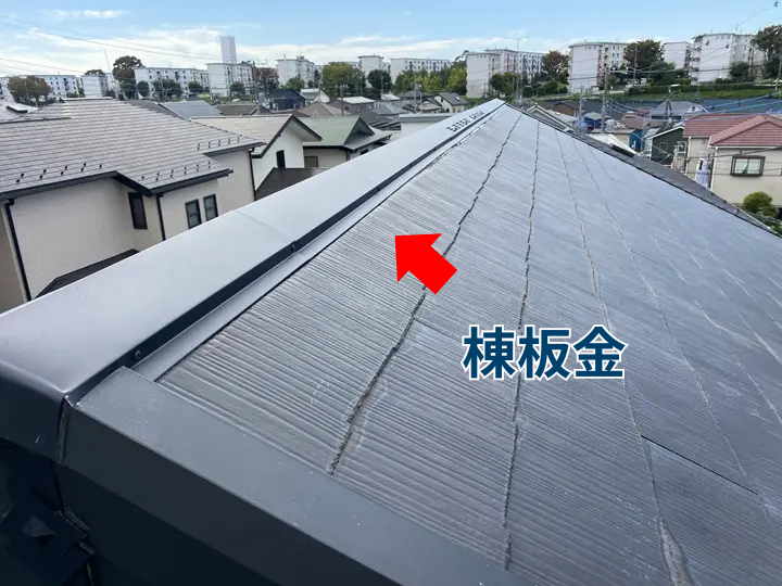 棟板金
