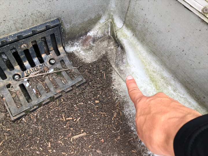 汚れた排水口周辺