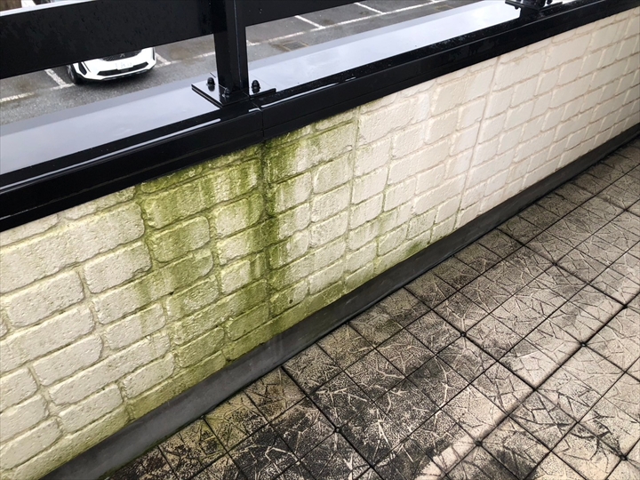 外壁面に流れる苔筋