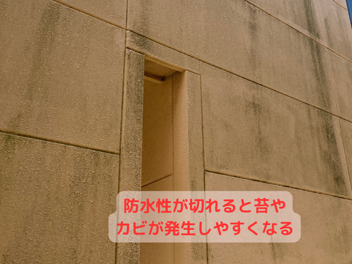 防水性が切れると苔やカビが発生しやすくなる