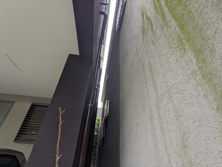隣のお家との間は湿気がこもりやすい箇所になります