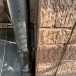 雨樋の塗膜剥離も発見