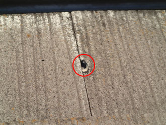 千葉県印旛郡酒々井町　外壁塗装　屋根塗装　防水　点検　スレートに穴