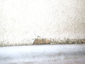 千葉県印旛郡酒々井町　外壁塗装　屋根塗装　バルコニー防水　点検　バルコニーの壁の剥離