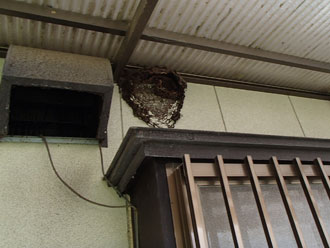 千葉県君津市　外壁点検　蜂の巣が撤去されたまま
