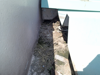 千葉県富津市　外壁塗装　屋根カバー工法　点検　屋根の点検　雨樋に溜まったゴミ