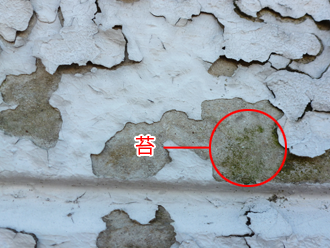 千葉県木更津市　3号棟外壁点検　塗膜の剥がれ　苔の発生