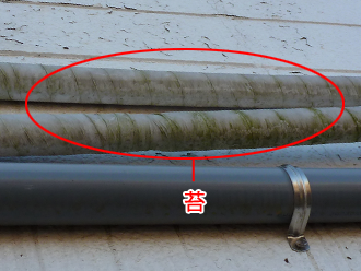 千葉県木更津市　3号棟外壁点検　排水ホースに苔が発生
