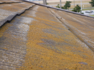 千葉県木更津市　外壁塗装　屋根カバー工法　点検　苔の発生