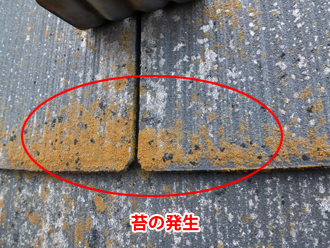 千葉県浦安市　外壁塗装　屋根塗装　ベランダ防水工事　屋根点検　屋根の苔