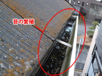 千葉県浦安市　外壁塗装　屋根塗装　ベランダ防水工事　屋根点検　雨樋苔の繁殖