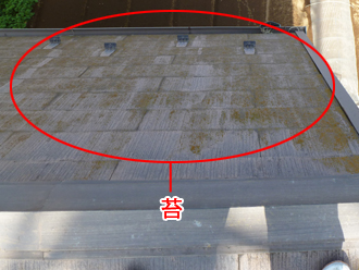 千葉県　習志野市　屋根塗装　外壁塗装　屋根点検　苔の発生