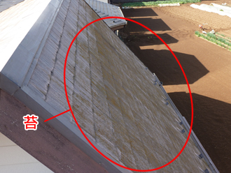 千葉県　習志野市　屋根塗装　外壁塗装　屋根点検　苔の発生