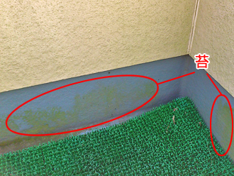 千葉県習志野市　外壁塗装　屋根塗装　ベランダ点検　苔発生