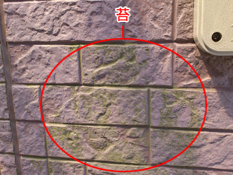 千葉県習志野市　外壁塗装　屋根塗装　外壁点検　苔の発生