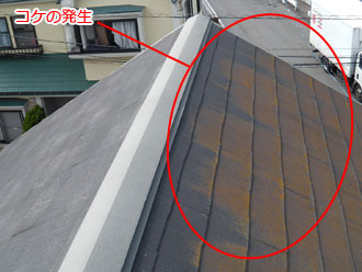 東京都立川市　屋根点検　日当たりの悪い部分にコケ発生