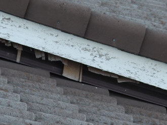 神奈川県三浦市　外壁塗装　屋根塗装　点検　軒天の塗装の剥がれ