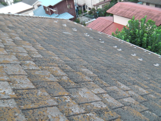 横浜市緑区　屋根塗装　外壁塗装　カバー工法　屋根点検　苔の繁殖